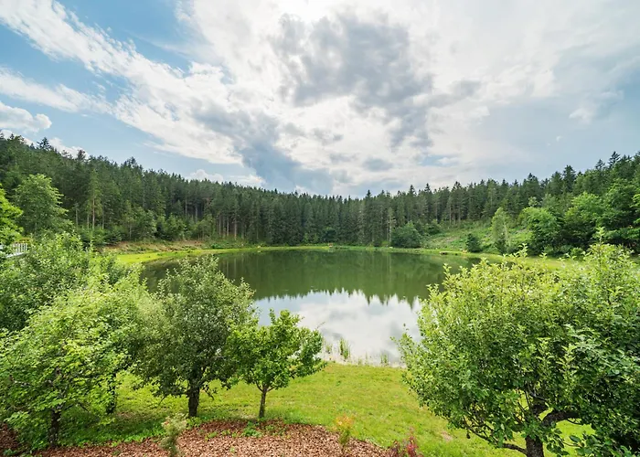 Hotel apartamentowy Haidensee 3*